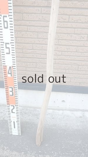 画像5: 棒流木・長尺