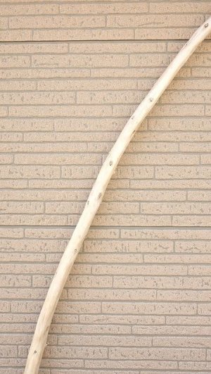 画像4: 棒流木・長尺