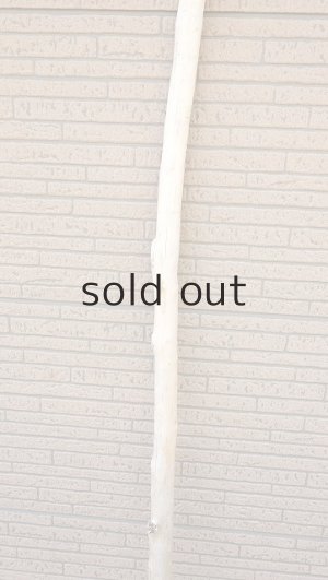 画像3: 棒流木・長尺