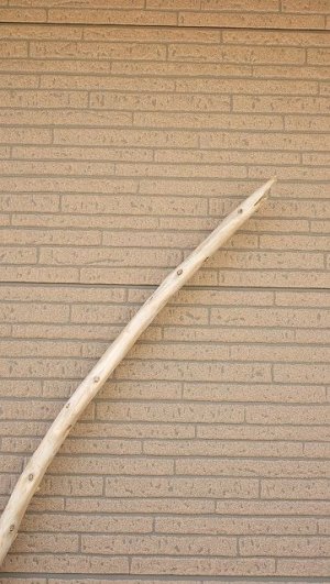 画像5: 棒流木・長尺