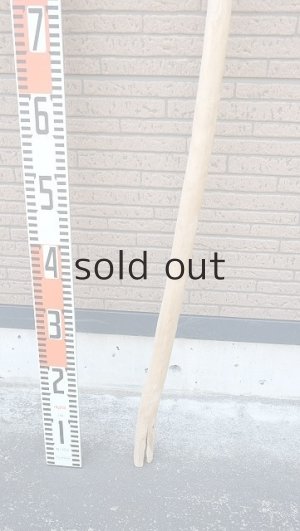 画像5: 棒流木・長尺