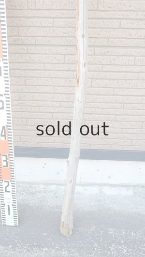 画像6: 棒流木・長尺