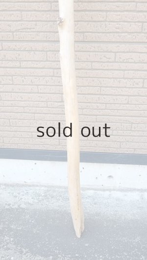 画像2: 棒流木・長尺