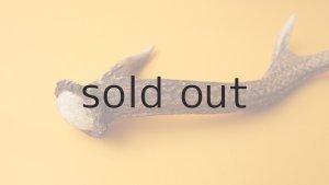 画像5: デコール用二ホンジカの角