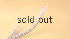 画像6: デコール用二ホンジカの角