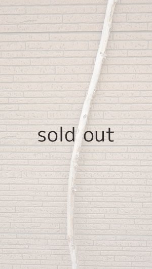 画像3: 棒流木・長尺