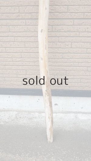 画像2: 棒流木・長尺