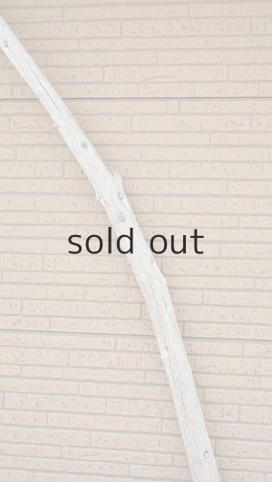 画像4: 棒流木・長尺