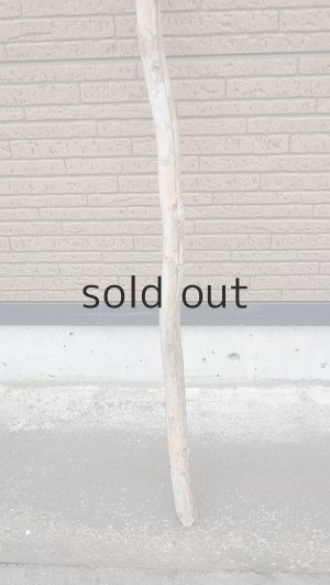 画像2: 棒流木・長尺