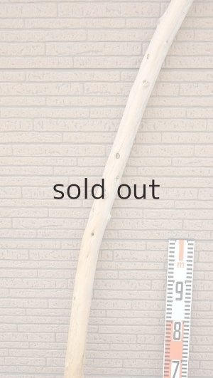 画像7: 棒流木・長尺