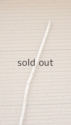 画像4: 棒流木・長尺