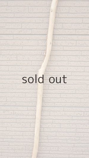 画像3: 棒流木・長尺