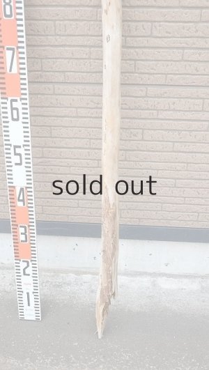 画像5: 棒流木・長尺