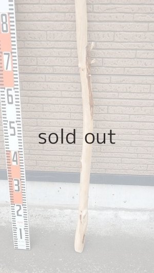 画像5: 棒流木・長尺