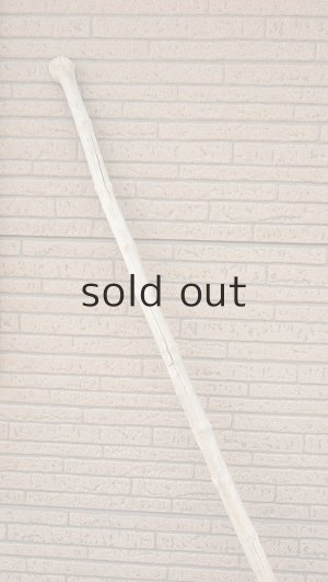 画像5: 幹流木・長尺