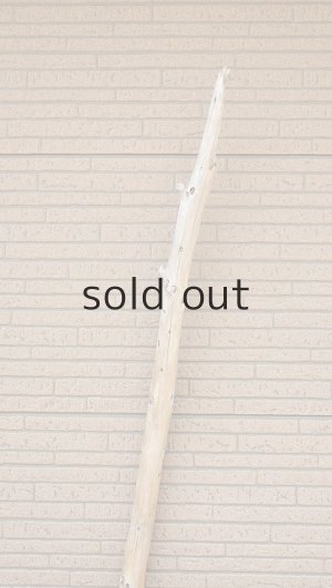 画像4: 棒流木・長尺