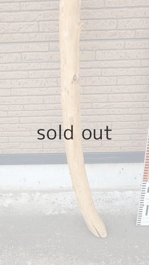 画像6: 棒流木・長尺