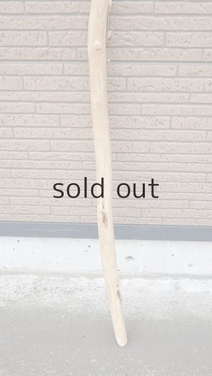 画像2: 棒流木・長尺