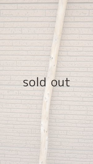 画像3: 棒流木・長尺