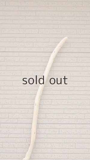 画像4: 棒流木・長尺