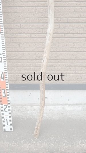 画像5: 棒流木・長尺