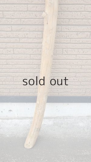 画像2: 棒流木・長尺