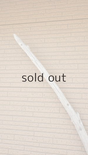 画像5: 棒流木・長尺