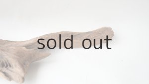 画像7: 変形流木