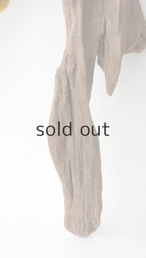 画像2: 変形流木