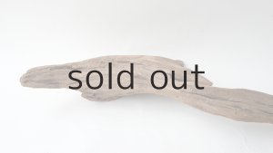 画像4: 変形流木