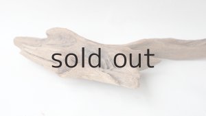 画像6: 変形流木