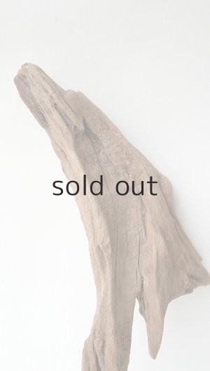 画像3: 変形流木