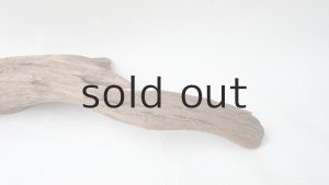 画像5: 変形流木