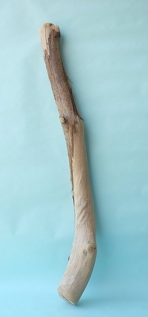 画像1: 幹流木