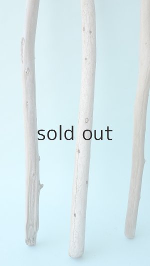 画像2: 棒流木セット