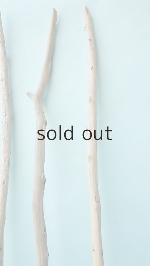 画像4: 棒流木セット