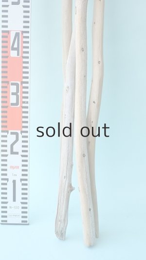 画像6: 棒流木セット