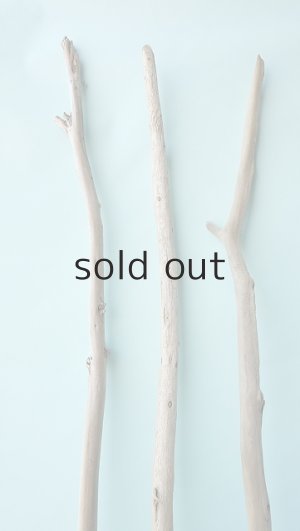 画像5: 棒流木セット