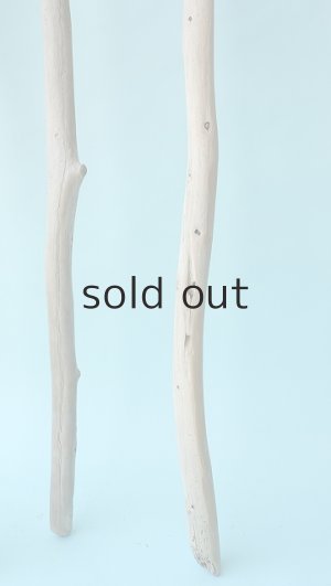 画像3: 棒流木セット