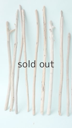 画像2: 棒流木セット