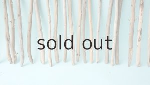 画像6: 棒流木セット