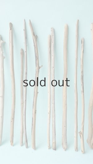 画像3: 棒流木セット