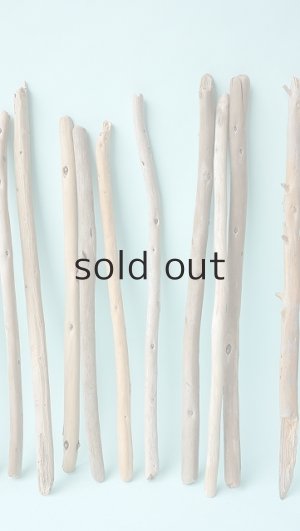 画像4: 棒流木セット