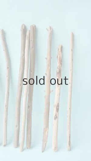 画像5: 棒流木セット