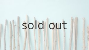 画像7: 棒流木セット