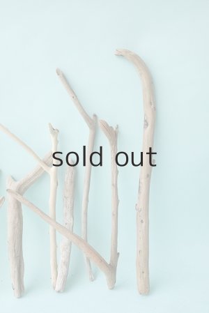 画像5: 小枝流木セット