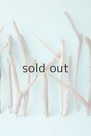 画像4: 小枝流木セット