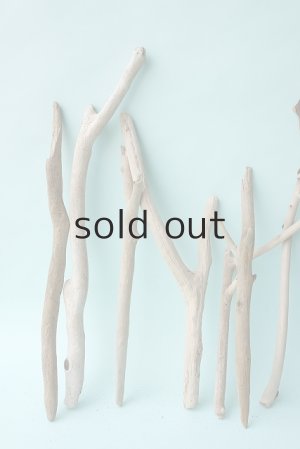 画像2: 小枝流木セット