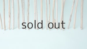 画像5: 棒流木セット