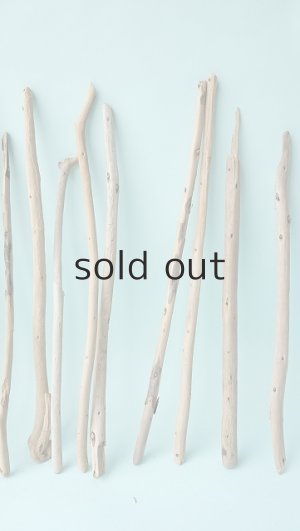 画像4: 棒流木セット